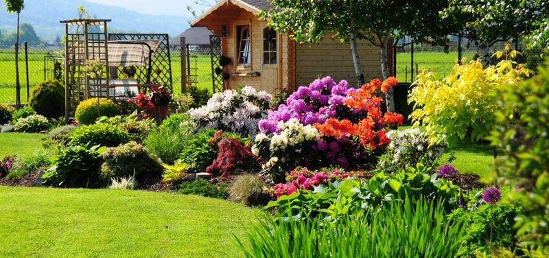 Innowacyjne narzędzia online