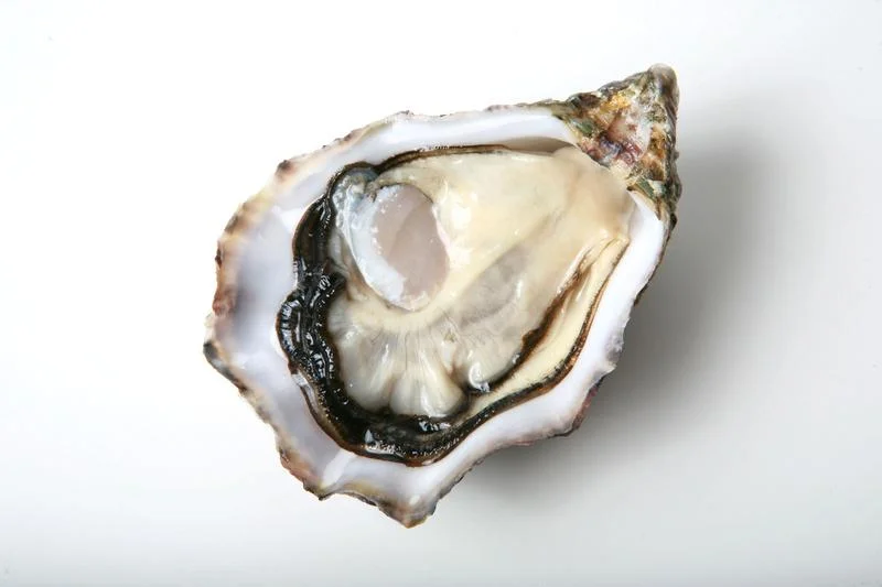 Ostrygi – luksusowy przysmak, który zachwyca smakiem i właściwościami zdrowotnymi