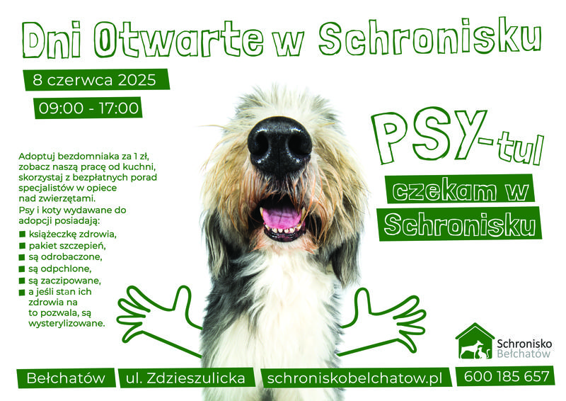 Chipowanie zwierząt domowych