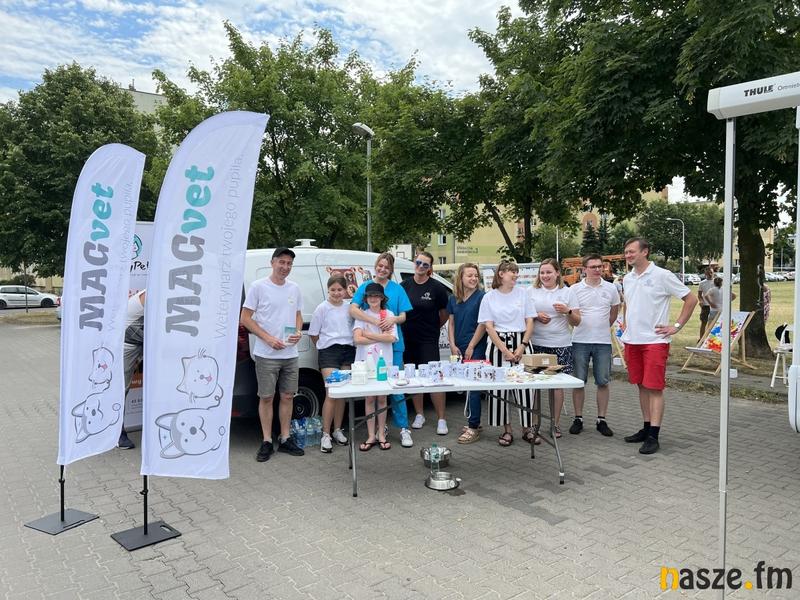 Jak odnaleźć zaginionego psa lub kota dzięki zaczipowanemu zwierzęciu?